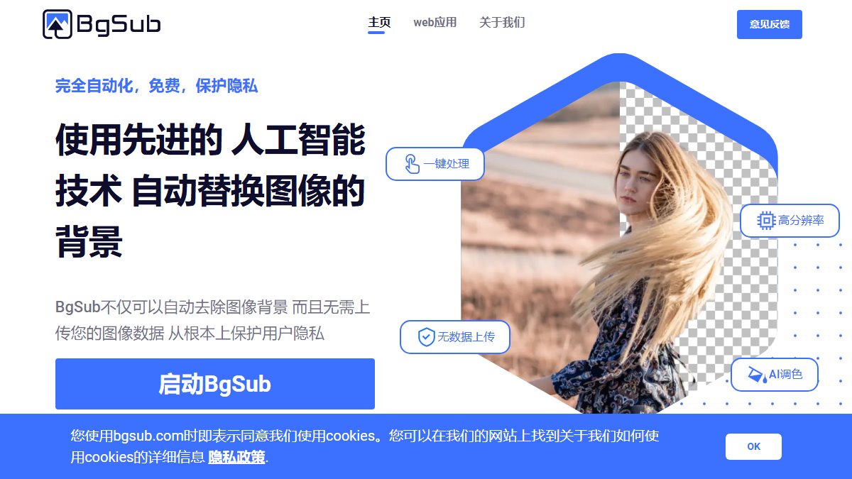 BgSub 官网截图
